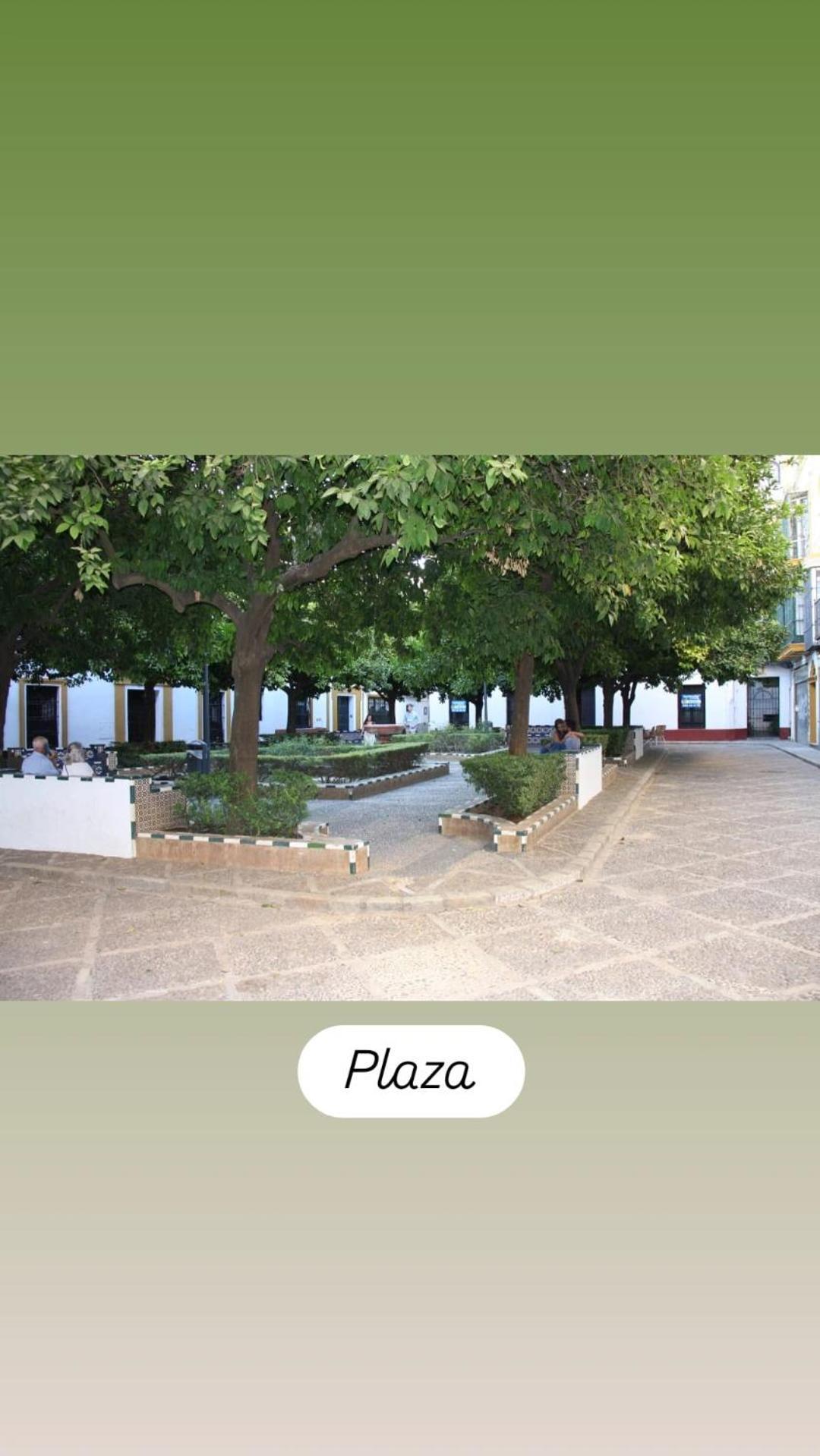 Apartamentos En La Plaza Dona Elvira, 7 Seville Exterior photo